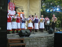 Festyn 2013 - występ zespołu SOKOLNIKI